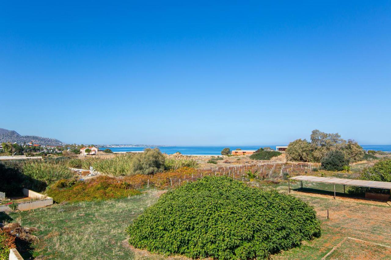 Sunshine Garden Apts Malia Eksteriør billede